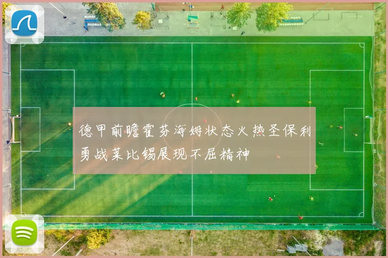 德甲前瞻霍芬海姆状态火热圣保利勇战莱比锡展现不屈精神