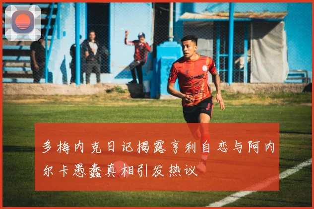 多梅内克日记揭露亨利自恋与阿内尔卡愚蠢真相引发热议