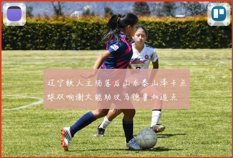 辽宁铁人主场落后山东泰山泽卡点球双响谢文能助攻马德鲁加造点