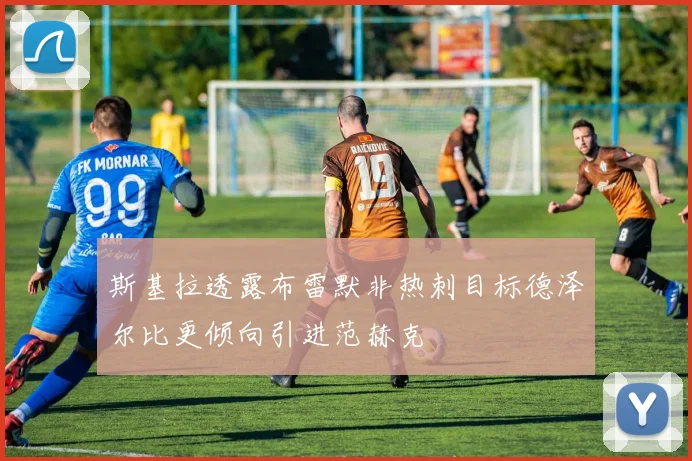 斯基拉透露布雷默非热刺目标德泽尔比更倾向引进范赫克